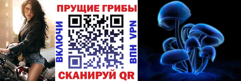 даркнет сайт  Нестеров  кракен сайт  Псилоцибиновые грибы GOLDEN TEACHER 